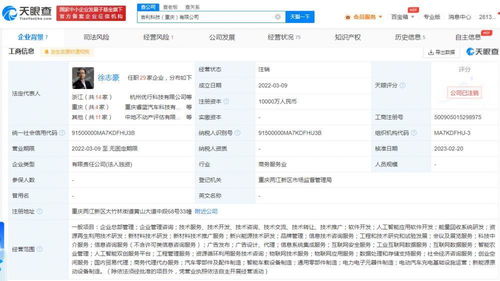 吉利科技重慶公司注銷始末 成立不足一年，新能源原動(dòng)設(shè)備銷售業(yè)務(wù)何去何從？