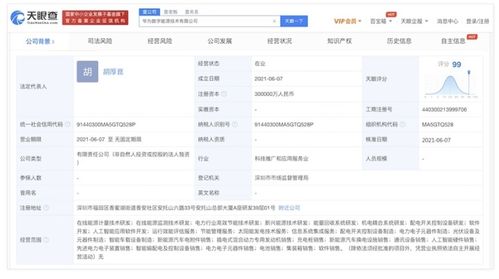 華為成立數(shù)字能源公司，加快布局充電與換電網(wǎng)絡(luò)及新興能源技術(shù)